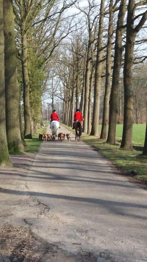 Hoeve De Laan Woudenberg Exteriör bild