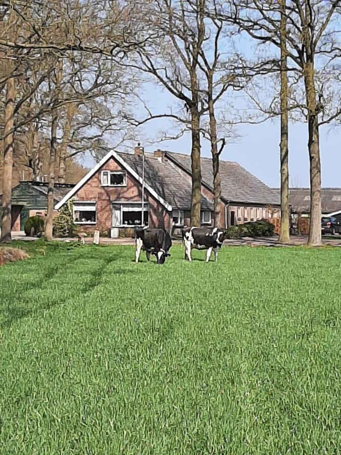 Hoeve De Laan Woudenberg Exteriör bild